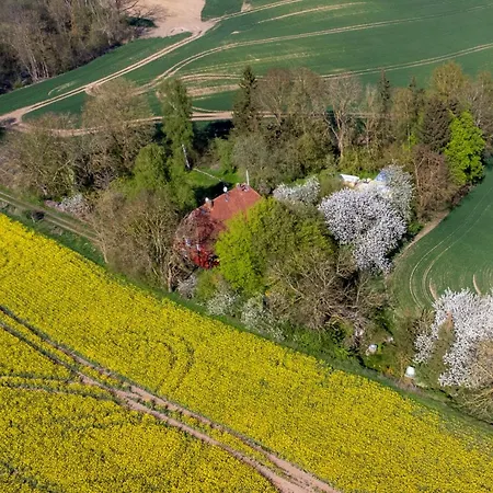 Zur Feldlerche Passee