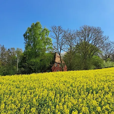 아파트 Zur Feldlerche Passee