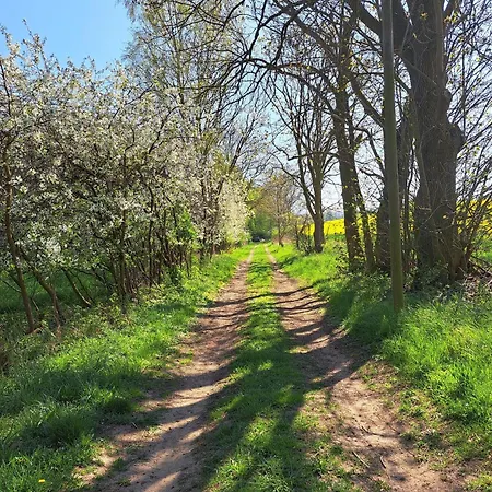 Zur Feldlerche 아파트 Passee