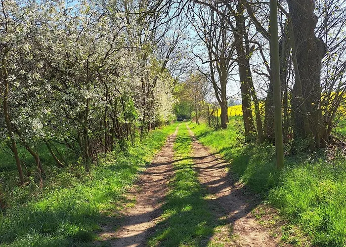 Zur Feldlerche Apartmán Passee