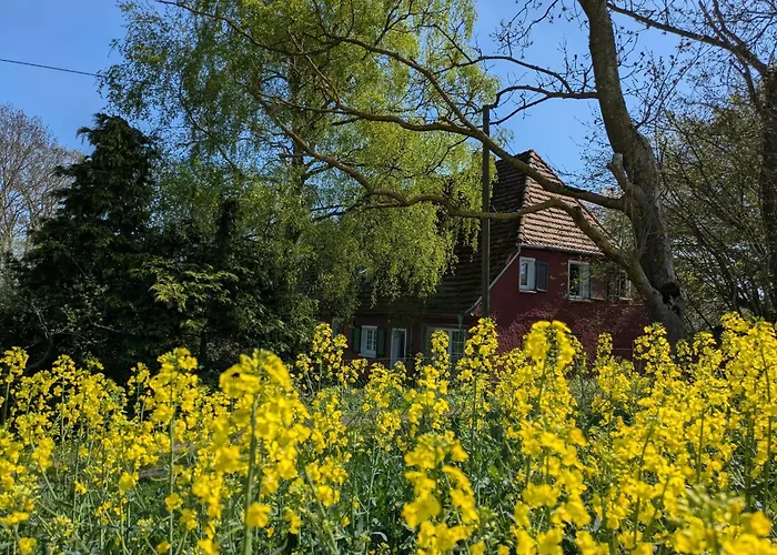 Apartmán Zur Feldlerche